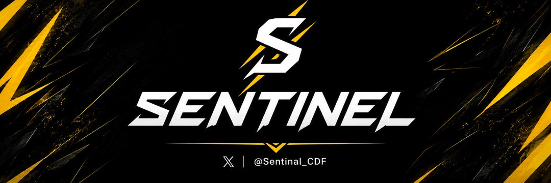 Bannière Sentinel Esport